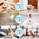 thumbnail image 3 of Clicker Training for Dogs, Dog Clicker for Training, Clicker Dog Training with Wrist Strap, Clicker for Pets, Dog Clicker Fits Dog Cat Horse Behaviora, 3 of 5