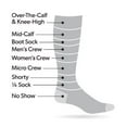 thumbnail image 3 of Darn Tough Men's Hiker Micro Crew Cushion Sock, 3 of 4