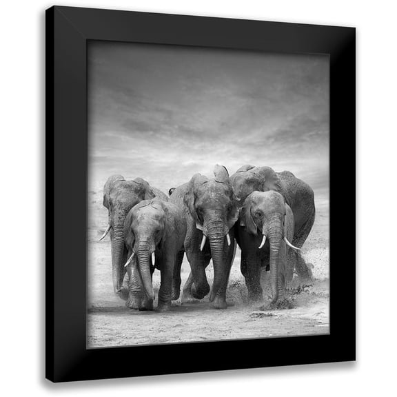 Byrdyak, V. 12x13 Black Modern Framed Museum Art Print Titled - Elephant Herd