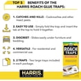 thumbnail image 5 of Harris Roach Glue Traps with Lure Non-Toxic Pesticide-Free 4 Traps, 5 of 8