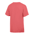 thumbnail image 3 of Men's-ComfortWash  Pink Rutgers Scarlet Knights Distressed Arch T-Shirt, 3 of 3