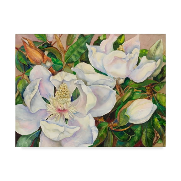 Trademark Fine Art 'Magnolia Tree' Canvas Art by Joanne Porter