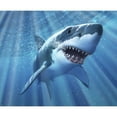 thumbnail image 2 of A Great White Shark with sunrays just below the surface Poster Print, 2 of 2