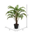 thumbnail image 2 of Vickerman FE181602 30 Po. Fern Vert en Pot Rond Noir, 2 of 2