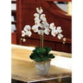 thumbnail image 2 of HomeStock Triple Southwestern Style Silk Orchid Flower Arrangement, 2 of 2