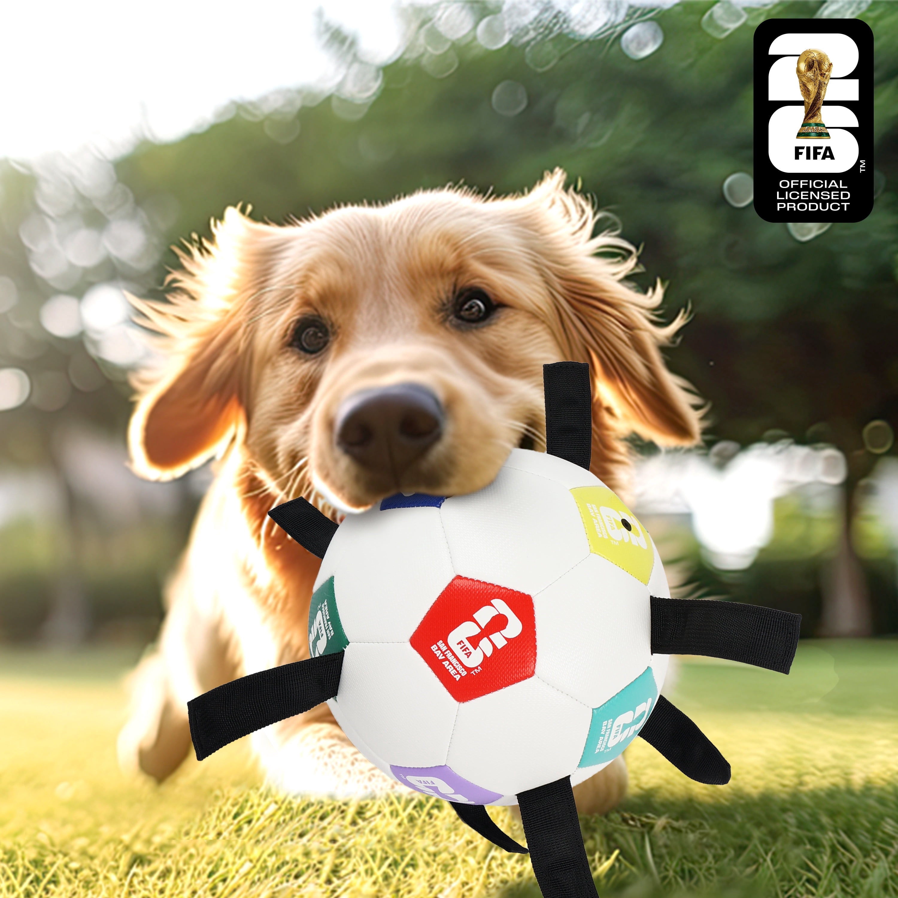 FIFA World Cup 2026 Pet Powergrip Soccer Ball Toy with Tethers for