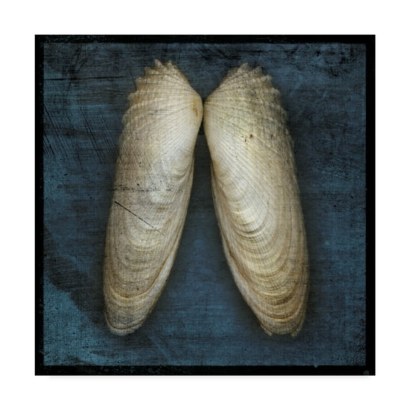Trademark Fine Art 'Angel Wings' Canvas Art by John W. Golden
