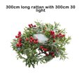 thumbnail image 4 of Cateissary Luces LED de frutas rojas alimentadas por encantadora para el hogar lámparas portátiles de guirnalda de Navidad para Iluminación navideña Tipo 2 Cateissary HA073645-02, 4 of 6
