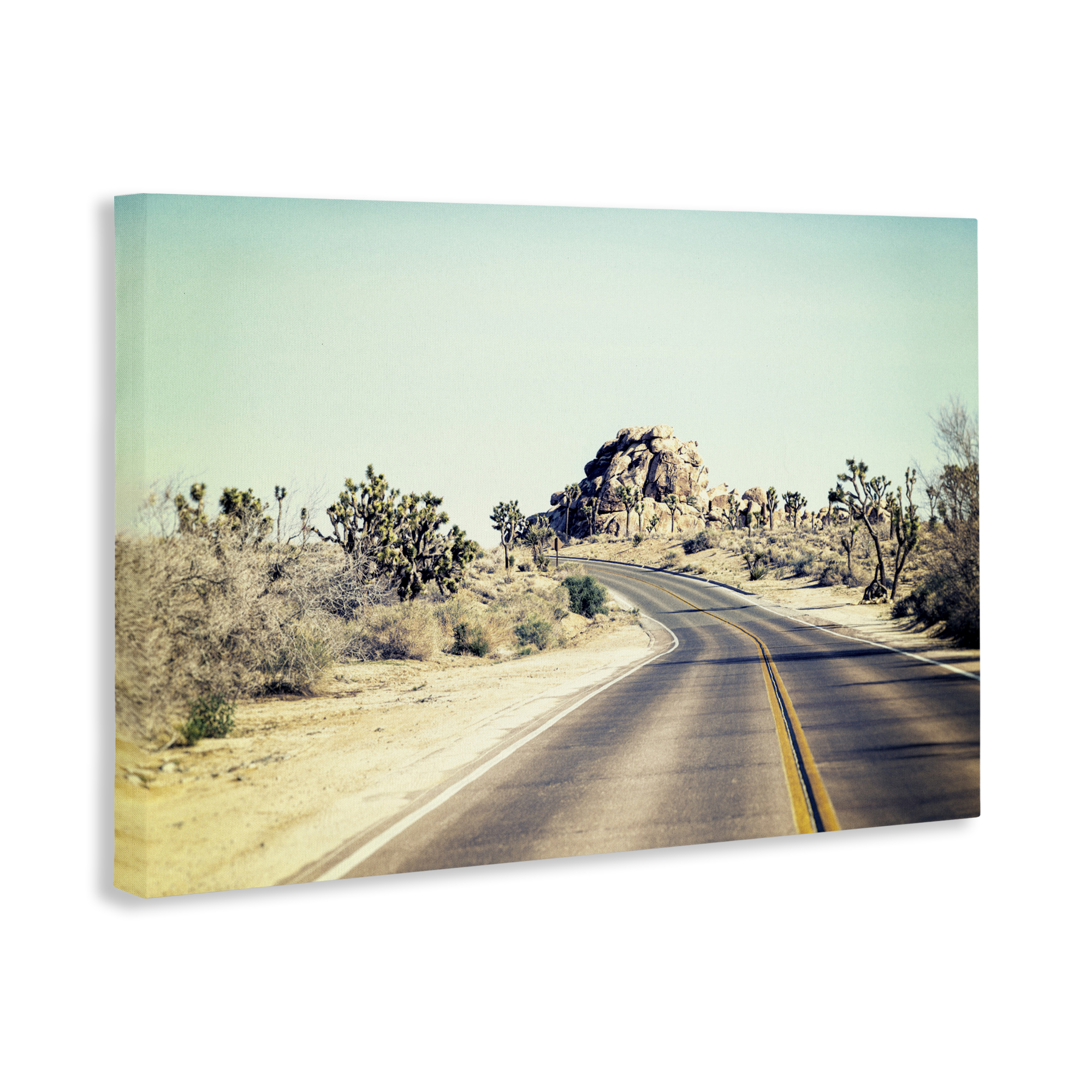 Road Trip Joshua Tree Park Canvas Wall Art, design by Joseph S Giacalone