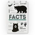 thumbnail image 2 of Lake Tahoe, California, Facts about Black Bears (36x54 Giclee Gallery Art Print, Vivid Textured Wall Decor), 2 of 3