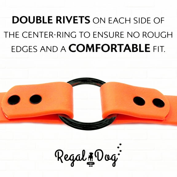 Regal Dog Products Waterproof Collar with Black Hardware Easy to Clean, Double Buckle & Ring