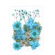 thumbnail image 2 of Flores prensadas secas, manualidades DIY para álbumes de recortes, Kits de hojas secas para decoración de uñas, manualidades, marcapáginas, pantallas Azul Macarena flores secas prensadas, 2 of 8