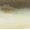 "Smelt", variant on Berkley Gulp! Alive! 1" Minnow