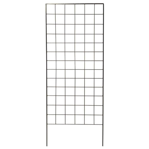 Garden Trellis, 64" Narrow Screen Plant Support - Black Steel Rose Trellis