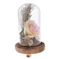 thumbnail image 4 of Exhibición de Decorativo Cloche Bell Frascos Plantas Suculentas Flor Jardín Terrario Hogar de Centro de Rosa claro Soledad Florero de preservación de flores, 4 of 10