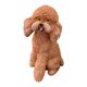 thumbnail image 2 of Estatua de perro para decoración de jardín, coleccionable, bonita figura de cachorro para dormitorio marrón, 2 of 9