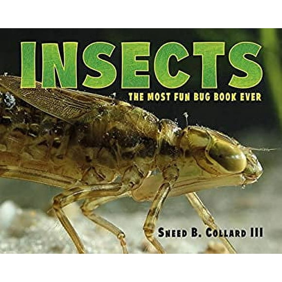 Insects : The Most Fun Bug Book Ever 9781580896429 Used / Pre-owned