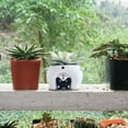 thumbnail image 3 of Succulent Planter Pot Animal Cactus Bonsai Flower Pots With Drainage Hole, 3 of 6