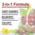 thumbnail image 4 of BEWORTHS Organic Tart Cherry Extract Capsules with Bilberry Fruit & Celery Seed, 1200mg High Potency for Joint Support & Muscle Recovery, 120 Capsules, 4 of 8