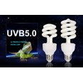 thumbnail image 4 of Bangcool Heat Bulb Creative 13W/26W 220V E27 Reptile Light Pet Heat Light, 4 of 9