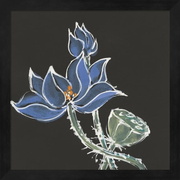 Lotus on Black VI by Chris Paschke, Framed Wall Art, 13.25W x 13.25H