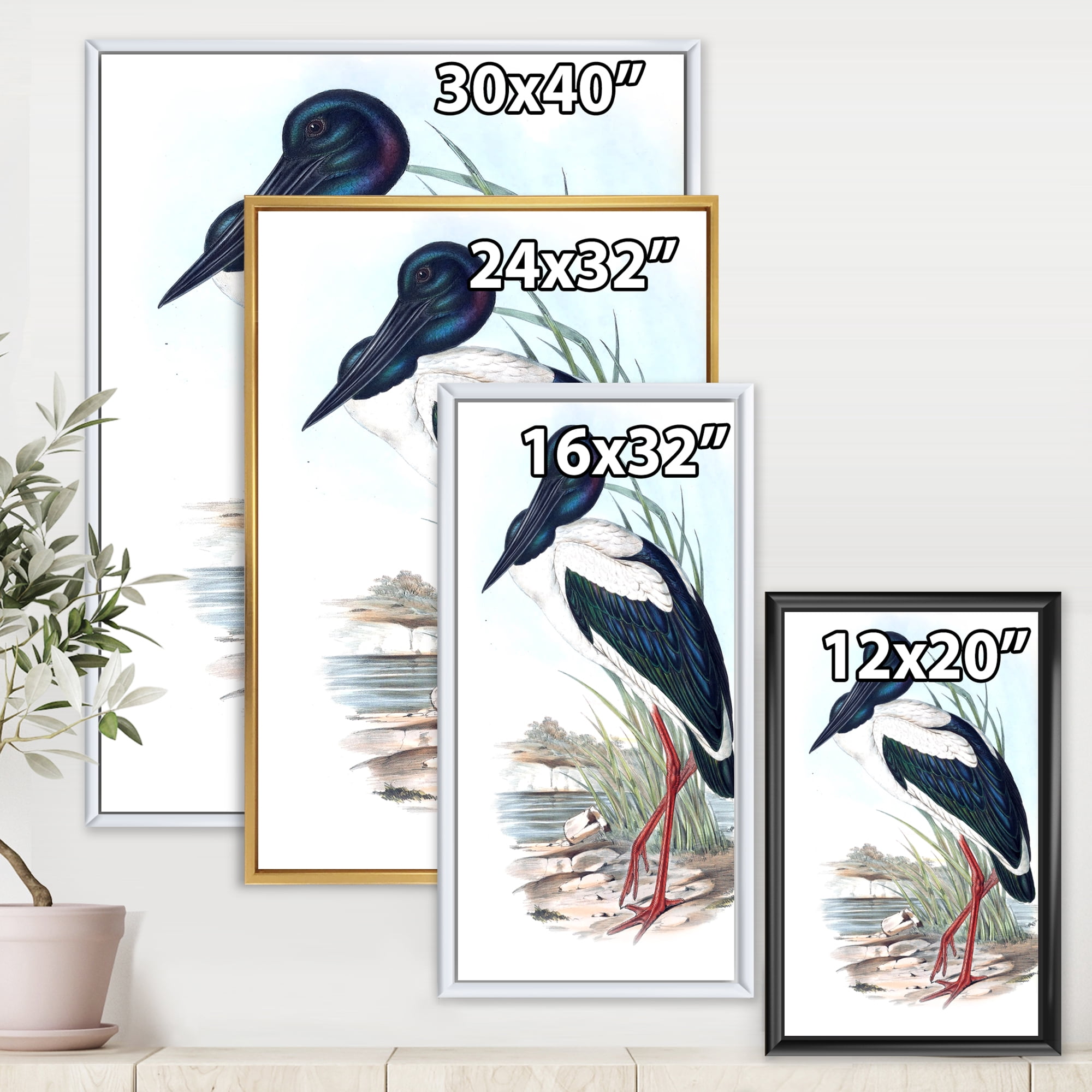 Designart 'Australian Vintage Birds I' Traditional Framed Canvas Wall Art Print
