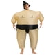thumbnail image 1 of Disfraz inflable de luchador de sumo, disfraz divertido de luchador de sumo para actuaciones en escenario de Halloween, 1 of 9