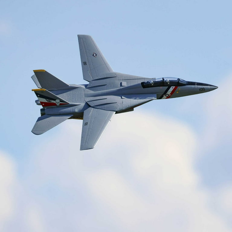 E-flite F-14 Tomcat Twin 40mm EDF Jet Model Plane, BNF Basic