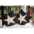 thumbnail image 3 of Simply Daisy 16" x 16" Big Star Nautical Indoor/Outdoor Throw Pillow, 3 of 3
