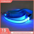 thumbnail image 2 of 120cm Led Dog Leash Rope With Light Luminous Lead Leash For Dog Running Night Safety Flashing Glowing Collar Harness Accessories, 2 of 5