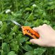 thumbnail image 4 of Tijeras de jardinería Tijera de podar de mano con hojas rectas de acero inoxidable Naranja ShuxiuWang 9024715986344, 4 of 4