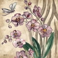 thumbnail image 3 of Tre Sorelle Studios 12x12 Black Modern Framed Museum Art Print Titled - Boho Orchid and Dragonfly II, 3 of 5