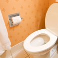 thumbnail image 2 of Carolina Collection Recessed Toilet Paper Holder - Matte Black, 2 of 2