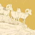 thumbnail image 3 of Green, Jacob 20x20 Black Modern Framed Museum Art Print Titled - Big Horn I, 3 of 5