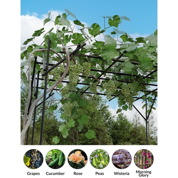 Sturdy Metal Garden Arch Trellis for Climbing Plants – Outdoor Floral Backdrop Frame, Wedding, Party, Ceremony & Event Décor, 47 x 59 x 95 Inches, Plant Support Structure, Flat Top