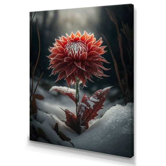 Designart A Blooming Red Dahlia Flower In Winter I Canvas Wall Art