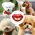 thumbnail image 6 of Pet Toys Funny Dog Pacifier Silicone Chew Toy for Teething and Oral Health Care | Durable Training for Indoor and Outdoor Play, 6 of 6