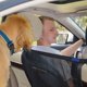 thumbnail image 5 of Jaula protectora de bloqueo de red de aislamiento trasero de coche para perros, 5 of 6