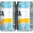 Fresca Grapefruit Citrus Mini Soda Pop Soft Drink, 7.5 fl oz, 6 Pack
