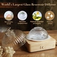 thumbnail image 2 of Difusor de aceites esenciales Levoair Glass Dome, 200 ml, base de madera, 2 of 6