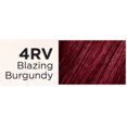 thumbnail image 1 of Clairol Textures &amp; Tones Kit, 1 of 7