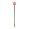thumbnail image 2 of Fufafayo Artificial Lotus Flower Realistic One Fake Lotus for Pond Decoration Water Feature Spring Summer Decor Photography Prop Living Room Table Display, 2 of 6