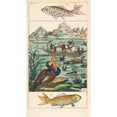 thumbnail image 3 of Gottlieb Tobias Wilhelm 15x24 Black Modern Framed Museum Art Print Titled - Natural History, 27 Vols (1834), 3 of 5