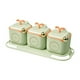 thumbnail image 2 of Juego de frascos de condimentos con tapa y cuchara | Recipientes de plástico verde para especias de 3 piezas con bandeja | Almacenamiento hermético de alimentos para encimera de cocina | 26,5 x 11,5, 2 of 9