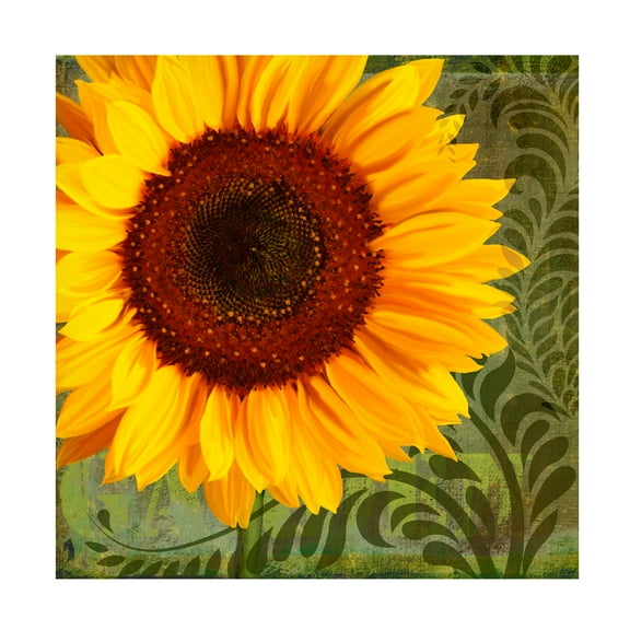 Trademark Fine Art 'Summer Sun I' Canvas Art by Tina Lavoie