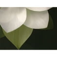 thumbnail image 3 of Christensen, Jim 24x19 Black Modern Framed Museum Art Print Titled - Lotus Closeup II, 3 of 5