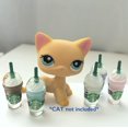 thumbnail image 3 of Mini Ensemble d'Accessoires Frappuccino 5 Pcs, 3 of 3