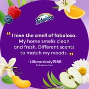 Fabuloso 2X Multi-Purpose Cleaner with Baking Soda, Citrus and Fruits Scent, 56 fl oz