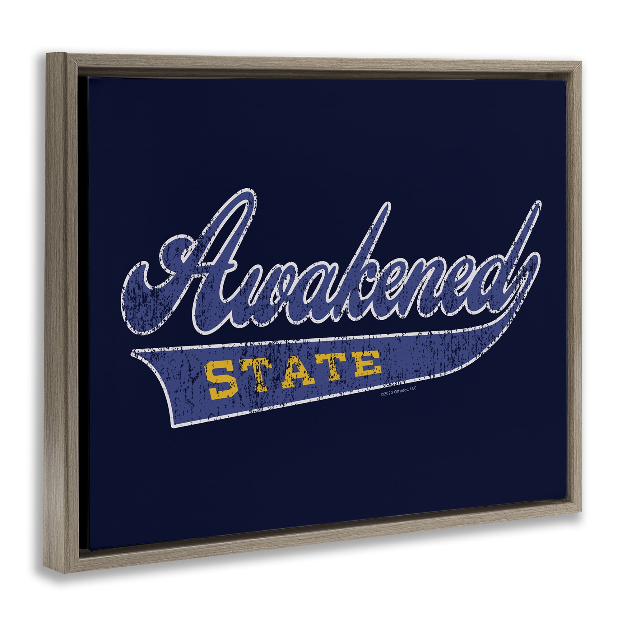 Stupell Industries Awakened State Varsity Novelty & Humor Painting Brown Floater Framed Canvas Art Print Wall Art, 21 x 17