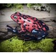 thumbnail image 3 of Red Tree Frog, Shimmery, Embroidered, Iron-on Patch, 3 of 6